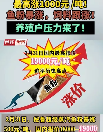 鱼粉价格暴涨